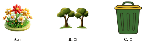 Đề cương ôn tập Giữa kì 2 Tiếng Anh lớp 5 Family and Friends (có lời giải)