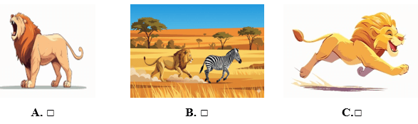 Đề cương ôn tập Giữa kì 2 Tiếng Anh lớp 5 Family and Friends (có lời giải)