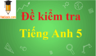 Đề thi Tiếng Anh lớp 5 có đáp án | Đề thi Tiếng Anh lớp 5 có đáp án