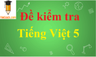 Đề thi Tiếng Việt lớp 5 có đáp án | Đề thi Tiếng Việt lớp 5 có đáp án