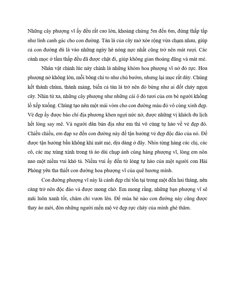 20 Đề thi Giữa kì 2 Tiếng Việt lớp 5 Cánh diều (có đáp án, cấu trúc mới)