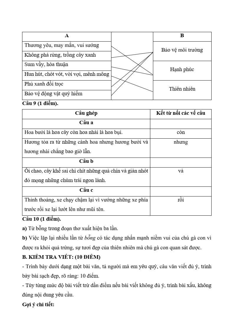 20 Đề thi Giữa kì 2 Tiếng Việt lớp 5 Chân trời sáng tạo (có đáp án, cấu trúc mới)