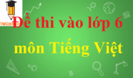 Đề thi vào lớp 6 môn Tiếng Việt có đáp án | Đề thi môn Tiếng Việt vào lớp 6 có đáp án