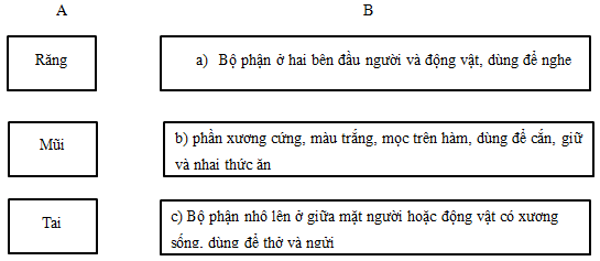 Phiếu bài tập cuối tuần Tiếng Việt lớp 5 Tuần 7 có đáp án (5 phiếu) | Đề kiểm tra cuối tuần Tiếng Việt 5