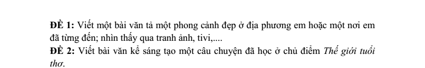 Đề thi Giữa kì 1 Tiếng Việt lớp 5 năm 2025-2026 trường TH&THCS Ngọc Lâm (Hưng Yên)