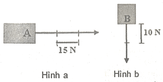 Đề cương ôn tập Học kì 1 KHTN 6 Chân trời sáng tạo (song song)