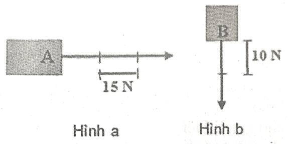 Đề cương ôn tập Học kì 2 KHTN 6 Kết nối tri thức (nối tiếp)