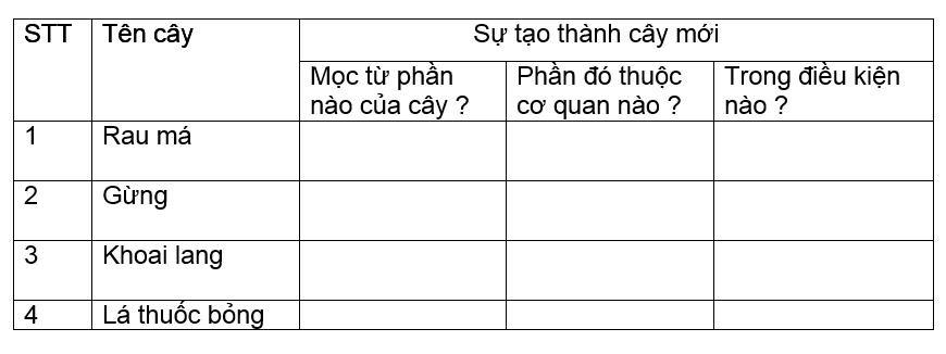 Đề kiểm tra Sinh học 6 có đáp án