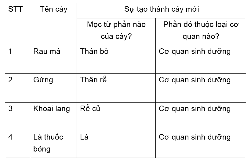 Đề kiểm tra Sinh học 6 có đáp án