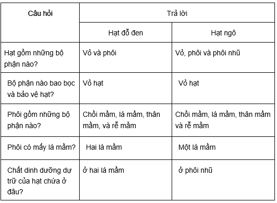 Đề kiểm tra Sinh học 6 có đáp án