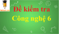 Đề kiểm tra Công nghệ lớp 6 có đáp án | Đề thi Công nghệ 6 có đáp án