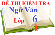 Top 100 Đề thi Ngữ văn lớp 6 năm 2024 mới nhất | Kết nối tri thức, Cánh diều, Chân trời sáng tạo