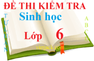 Đề kiểm tra Sinh học 6