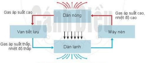 3 Đề thi Công nghệ 6 Học kì 2 Cánh diều năm 2024 có ma trận