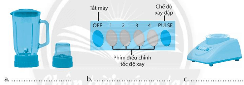 Đề thi Công nghệ lớp 6 Học kì 2 Chân trời sáng tạo năm 2024 có ma trận (3 đề)