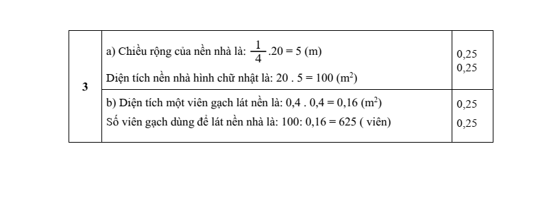 Đề thi Giữa kì 1 Toán 6 trường THCS Đinh Ruối năm 2025-2026