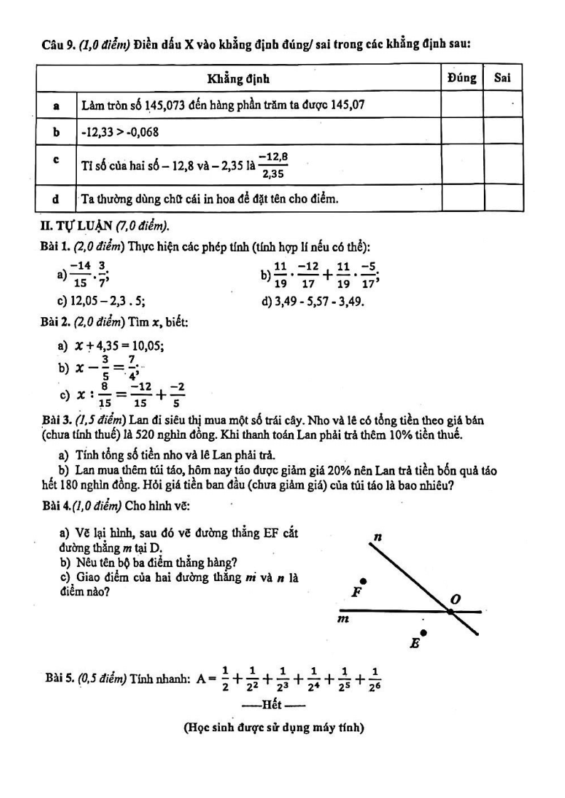 Đề thi Giữa kì 2 Toán 6 trường THCS Nguyễn Thiện Thuật (Đà Nẵng) năm 2024-2025