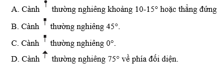 Đề thi Học kì 1 Công nghệ 6 có đáp án (Đề 2)