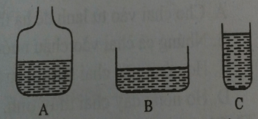 Đề thi Vật Lí 6