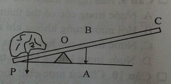 Đề thi Vật Lí 6