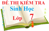 Top 100 Đề thi Sinh học lớp 7 năm 2024 có đáp án