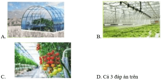 Đề thi Giữa kì 1 Công nghệ 7 Cánh diều có đáp án (3 đề)