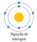 7 Đề thi Giữa kì 1 KHTN 7 Kết nối tri thức năm 2024 (có đáp án) | Khoa học tự nhiên 7 (ảnh 2)