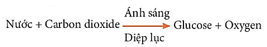 Đề thi Giữa kì 1 Khoa học tự nhiên lớp 7 Kết nối tri thức có đáp án (3 đề) (ảnh 4)