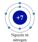 7 Đề thi Giữa kì 1 KHTN 7 Kết nối tri thức năm 2024 (có đáp án) | Khoa học tự nhiên 7 (ảnh 1)