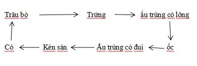 [Năm 2023] Đề thi Giữa kì 1 Sinh học lớp 7 có đáp án (3 đề)