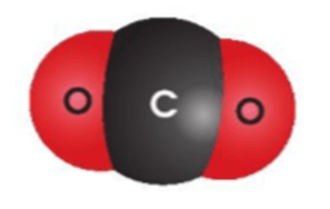 17 Đề thi Giữa kì 2 KHTN 7 Kết nối tri thức năm 2026 (có đáp án) | Đề thi Khoa học tự nhiên 7
