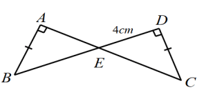 25+ Đề thi Giữa kì 2 Toán 7 Kết nối tri thức năm 2026 (có đáp án)