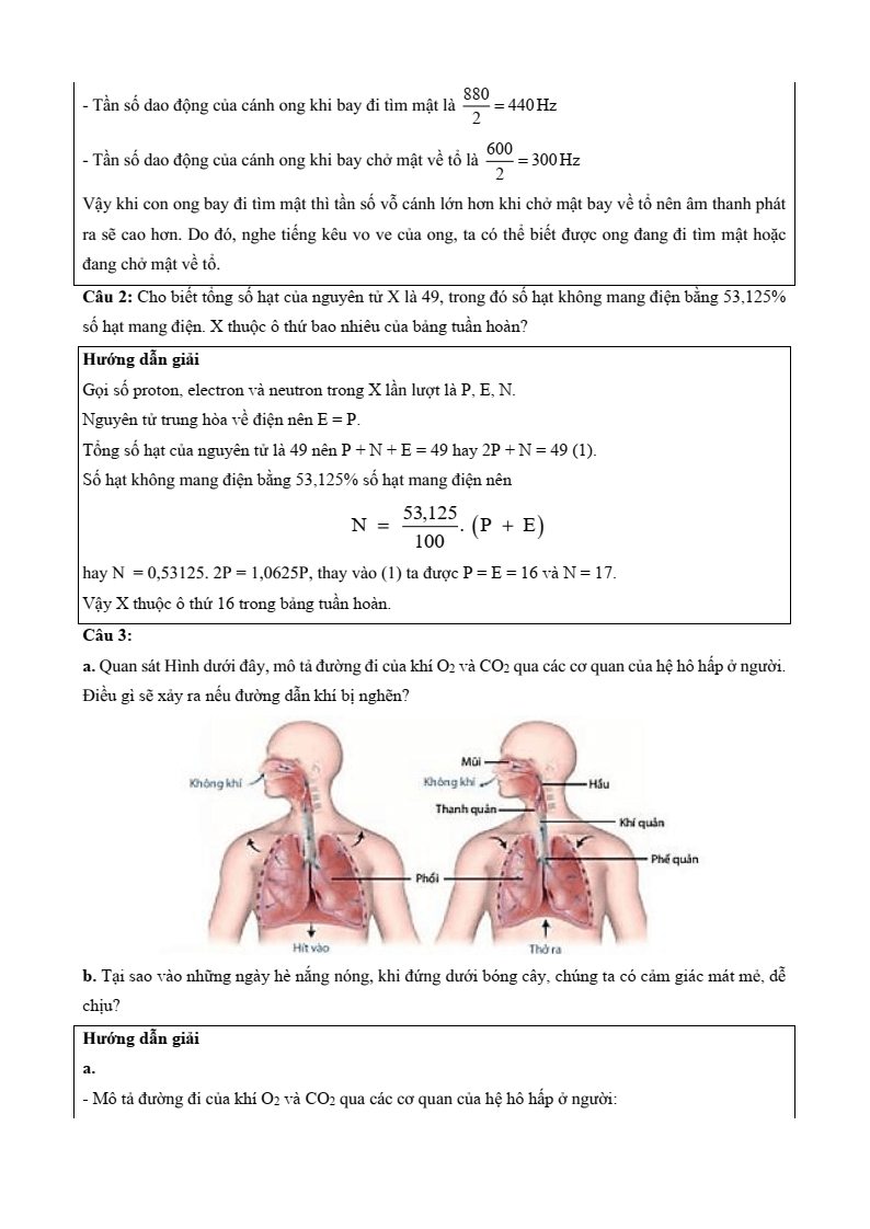 6 Đề thi Học kì 1 KHTN 7 Cánh diều năm 2026 (có đáp án) | Đề thi Khoa học tự nhiên 7