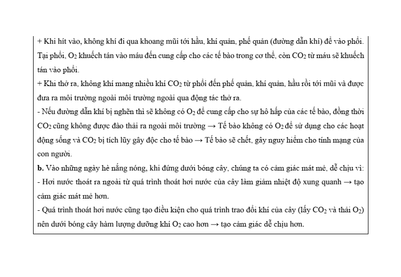 6 Đề thi Học kì 1 KHTN 7 Chân trời sáng tạo năm 2026 (có đáp án) | Đề thi Khoa học tự nhiên 7