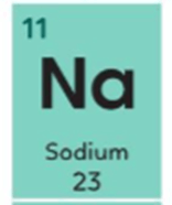 6 Đề thi Học kì 1 KHTN 7 Kết nối tri thức năm 2025 (có đáp án) | Đề thi Khoa học tự nhiên 7