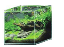 Đề thi Học kì Toán 7 năm 2025 trường THCS Trương Công Định