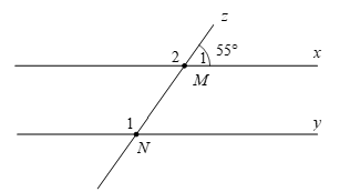 Đề thi Học kì 1 Toán lớp 7 Cánh diều có đáp án (4 đề)