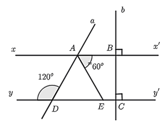 32 Đề thi Cuối kì 1 Toán 7 Kết nối tri thức (có đáp án, cấu trúc mới)