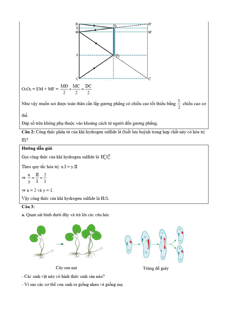23 Đề thi Học kì 2 KHTN 7 Kết nối tri thức năm 2026 (có đáp án) | Đề thi Khoa học tự nhiên 7