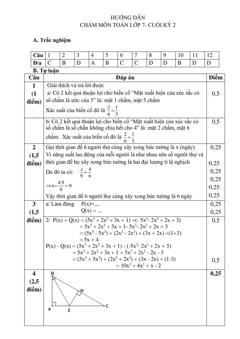 Đề thi Học kì 2 Toán 7 phòng GD&ĐT Phú Xuyên (Hà Nội) năm 2024-2025