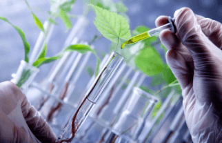 Đề thi Học kì 1 Sinh học 7 năm 2025 có đáp án (30 đề)