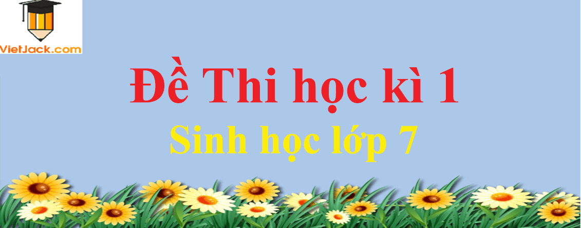 Đề thi Học kì 1 Sinh học 7 năm 2025 có đáp án (30 đề)