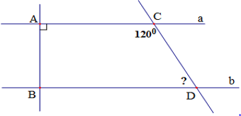 Đề thi Toán 7 Giữa học kì 1 năm 2024 Đề 3