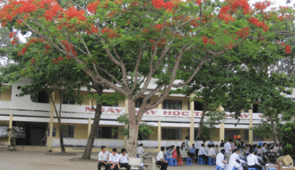 Đề thi Toán 7 Giữa học kì 1 năm 2025 có ma trận (17 đề)