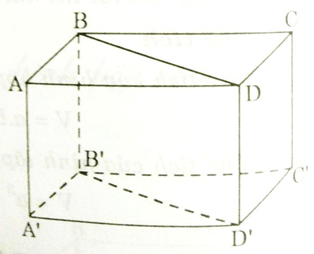 Bộ Đề thi Toán 8