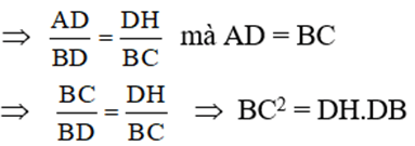 Bộ Đề thi Toán 8