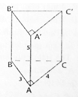 Bộ Đề thi Toán 8