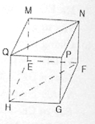 Bộ Đề thi Toán 8