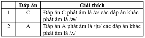 Đề thi Giữa học kì 2 Tiếng Anh 8 mới có đáp án (Đề 5)