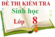 100 Đề thi Sinh học lớp 8 năm 2024 Học kì 1, Học kì 2 có đáp án